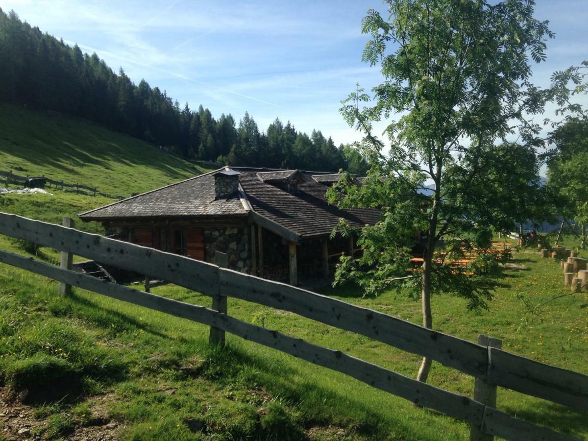Il Bosco In Casa Leilighet Telve Eksteriør bilde