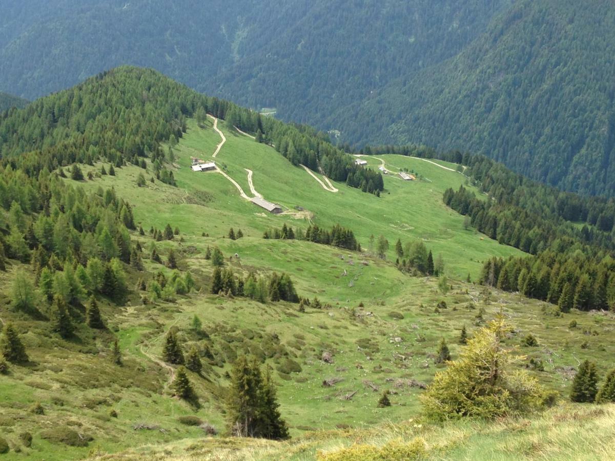 Il Bosco In Casa Leilighet Telve Eksteriør bilde